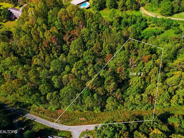 Lot 2 Timber Lake Drive, Cosby, TN 37722