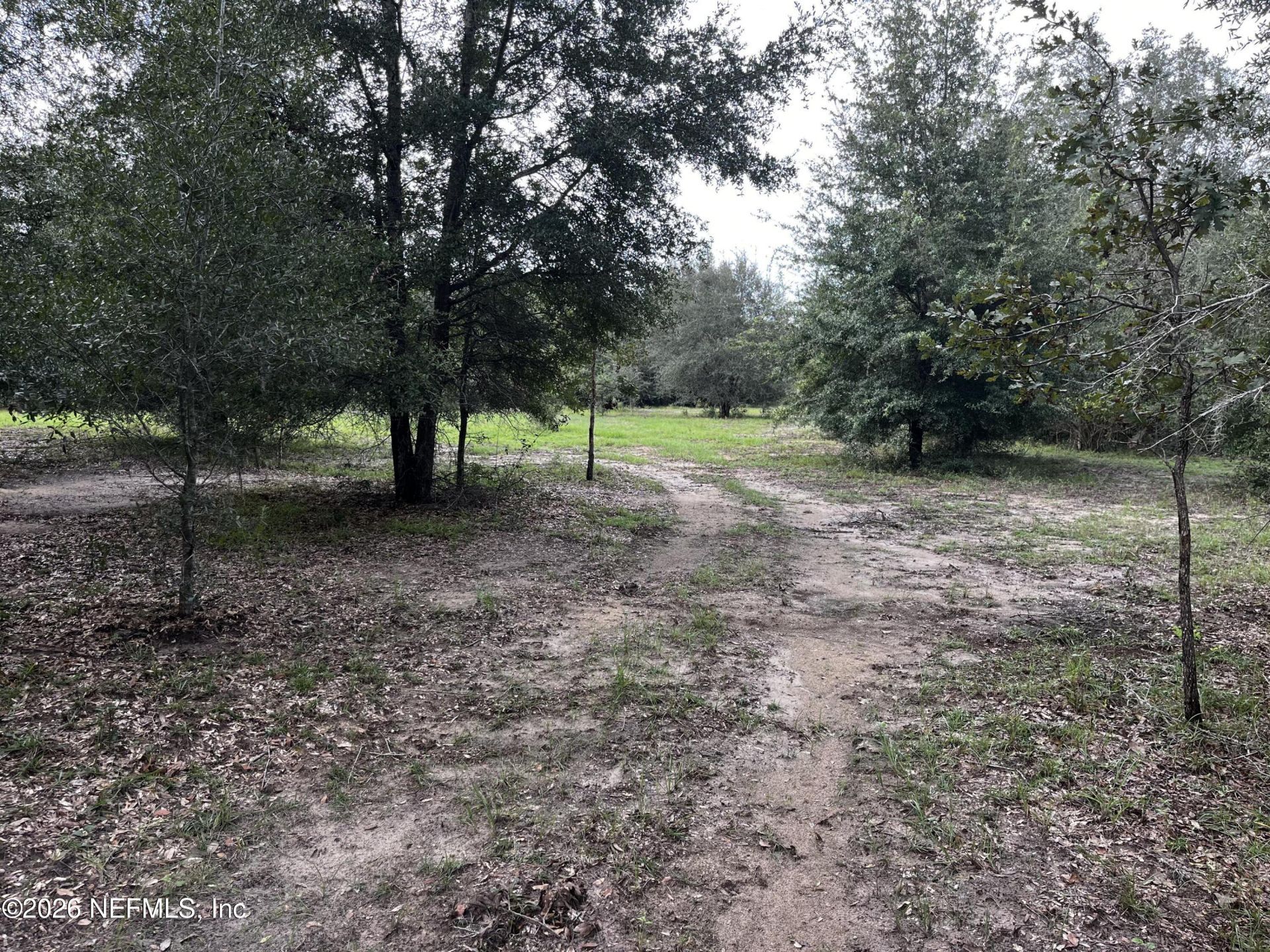 1549 NE County Road 337, Trenton, FL 32643 Photo