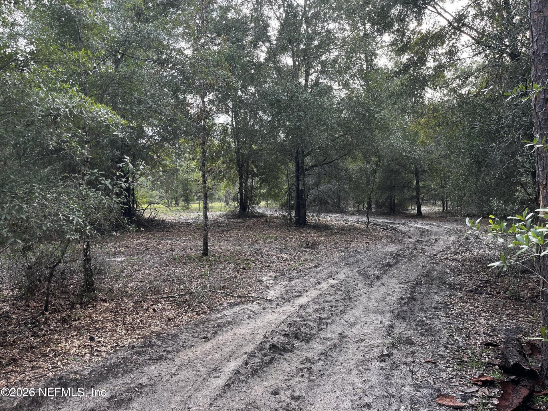 1549 NE County Road 337, Trenton, FL 32643 Photo