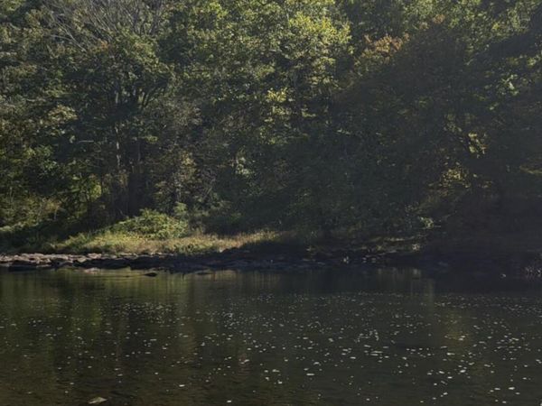Lot 4 Field Bend Lock Road , Lackawaxen, PA 18435