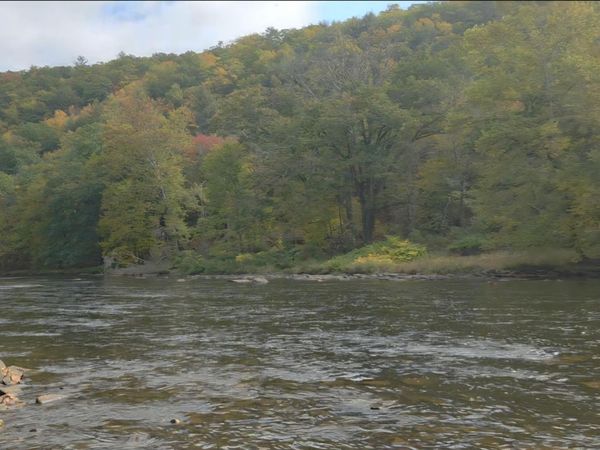 Lot 4 Field Bend Lock Road , Lackawaxen, PA 18435