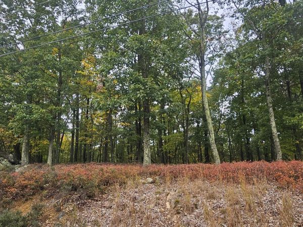 RVW Lot211 Dakota Drive, Hazleton, PA 18202