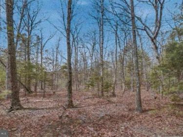 16 B - BACK MOUNTAIN RD , WINCHESTER, VA 22602