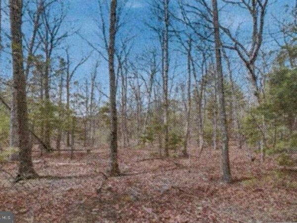 16 B - BACK MOUNTAIN RD, WINCHESTER, VA 22602