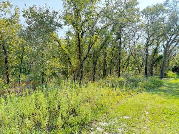 11096 MARSH WREN AVENUE , WEEKI WACHEE, FL 34614
