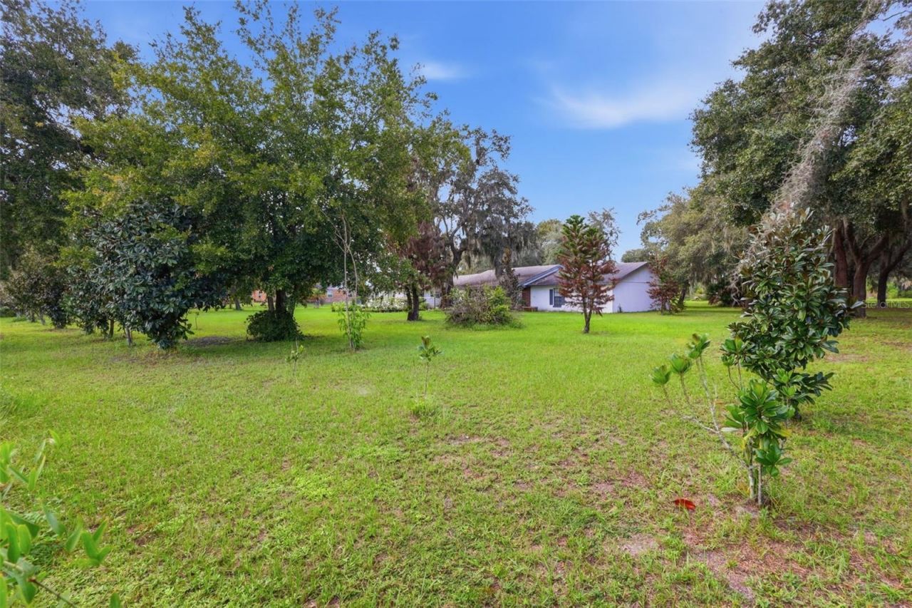 4151 Boggy Creek Road , Kissimmee, FL 34744 Photo