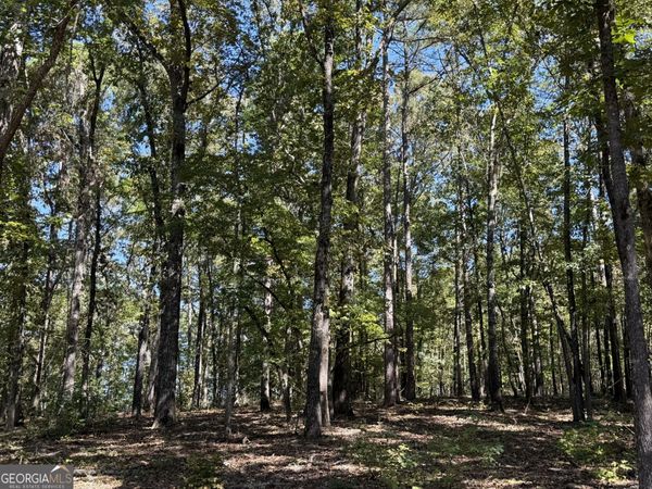 0 County Road 701, Roanoke, AL 36274