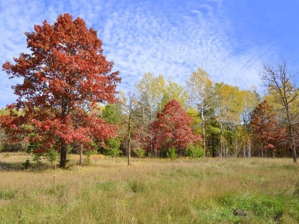 XXX Grant Street , Park Rapids, MN 56470