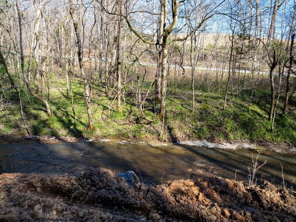 0 Dog Creek Rd , Primm Springs, TN 38476