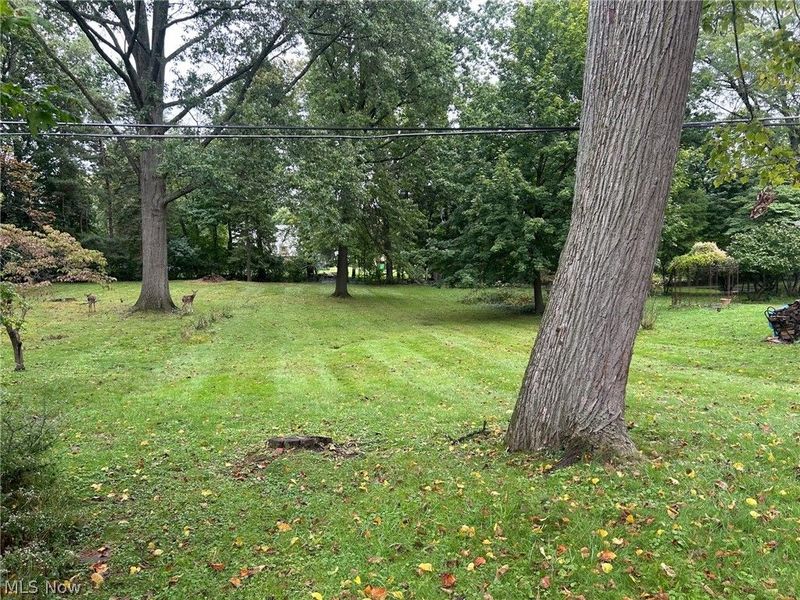 155 Vincent Street, Alliance, OH 44601 Photo 3