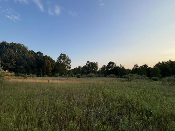 V/L E Pierce Road, Shelby, MI 49455