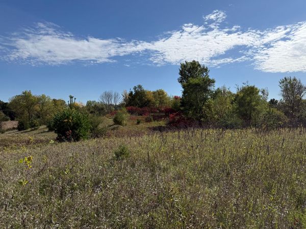 XXX Canby , Webster, MN 55088