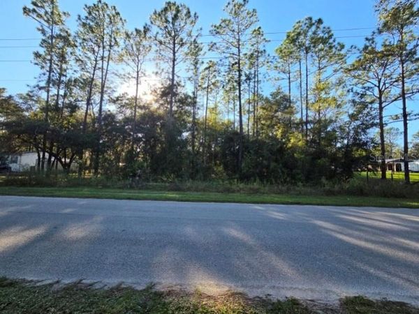 SW 176TH AVE , DUNNELLON, FL 34432