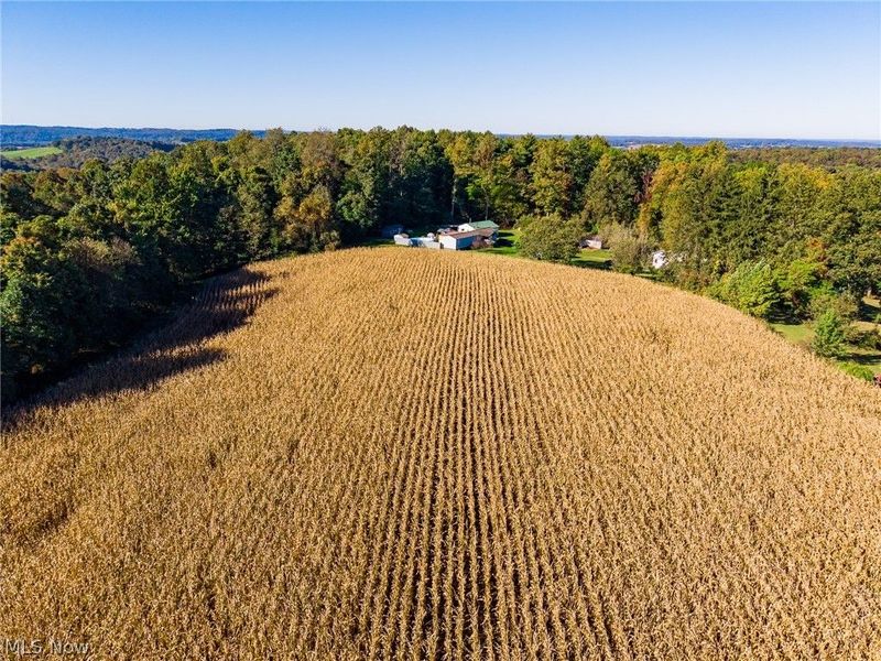 25994 County Road 10 Road, Fresno, OH 43824 Photo 16