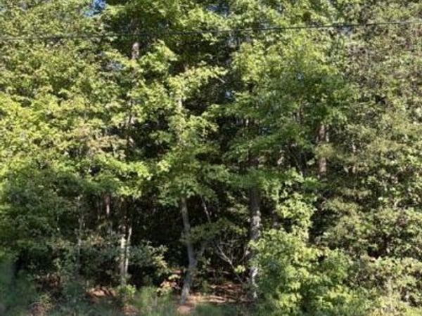 000 Little John Street, REEDVILLE, VA 22539