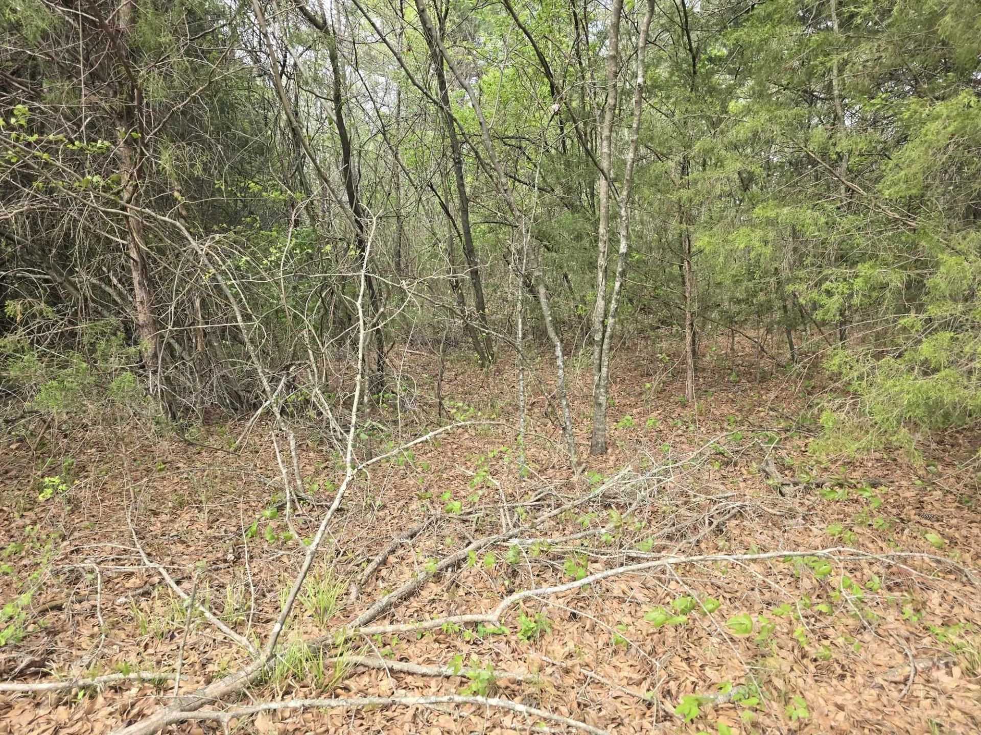 00 Daniel St, Cherokee, AL 35616 Main Photo