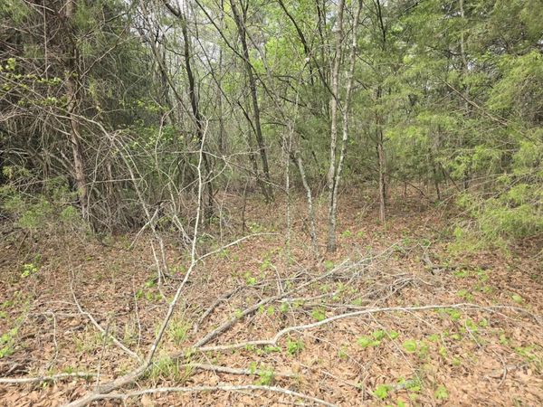 00 Daniel St, Cherokee, AL 35616