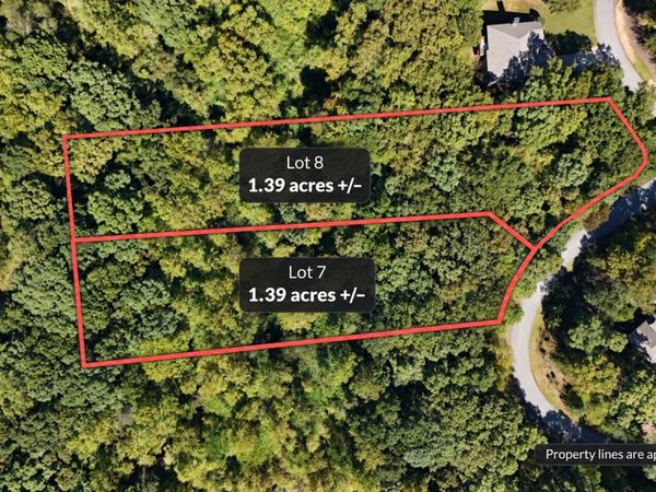 LOT 8 Long Mountain Trail, Cleveland, GA 30528