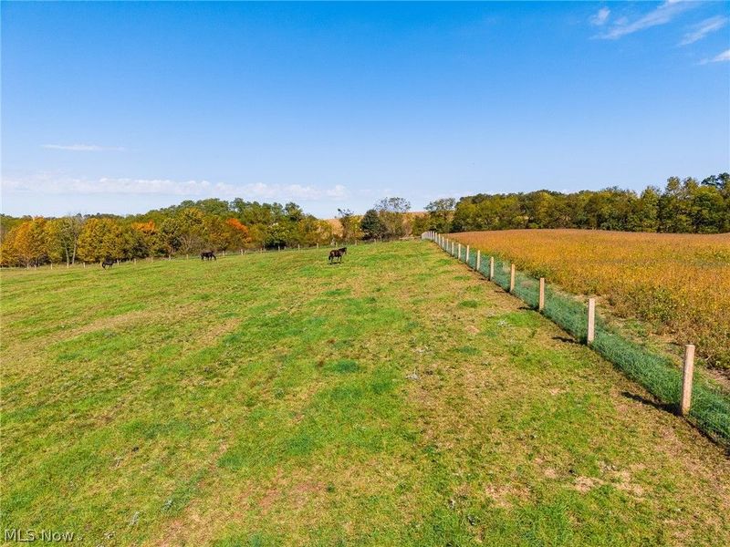 32136 County Road 92 Road, Walhonding, OH 43843 Photo 48