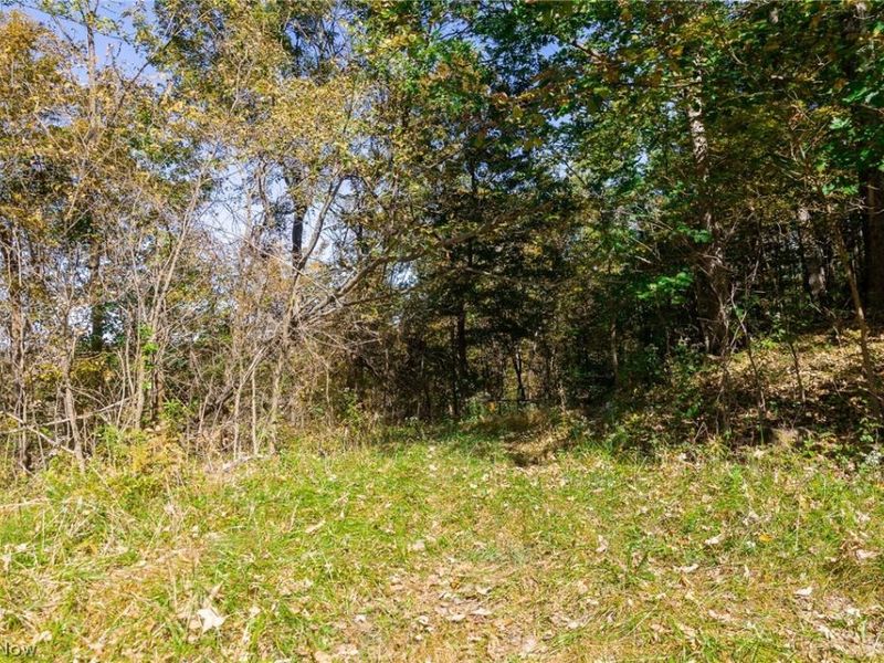 County Road 9, New Matamoras, OH 45767 Photo 11