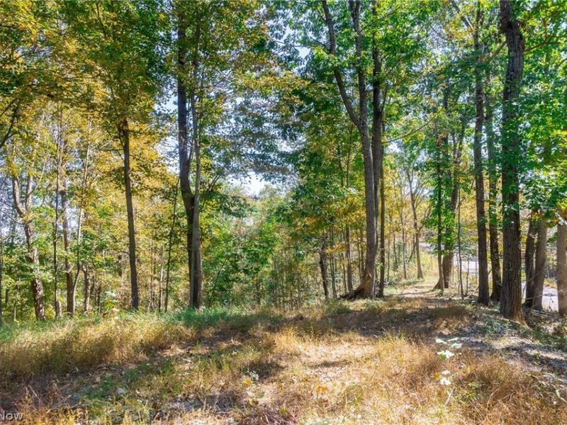 County Road 9, New Matamoras, OH 45767 Photo 14