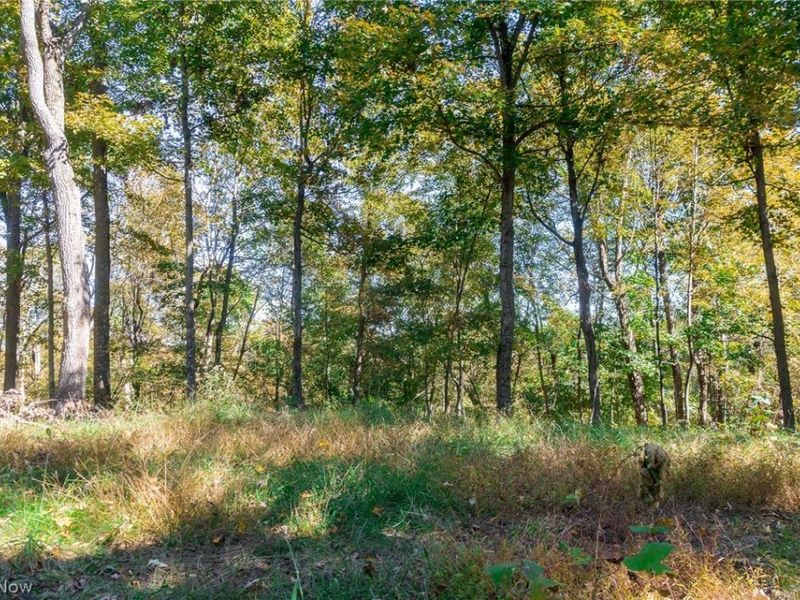 County Road 9, New Matamoras, OH 45767 Photo 15
