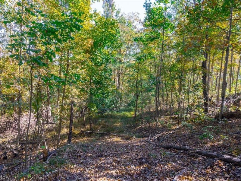 County Road 9, New Matamoras, OH 45767 Photo 17