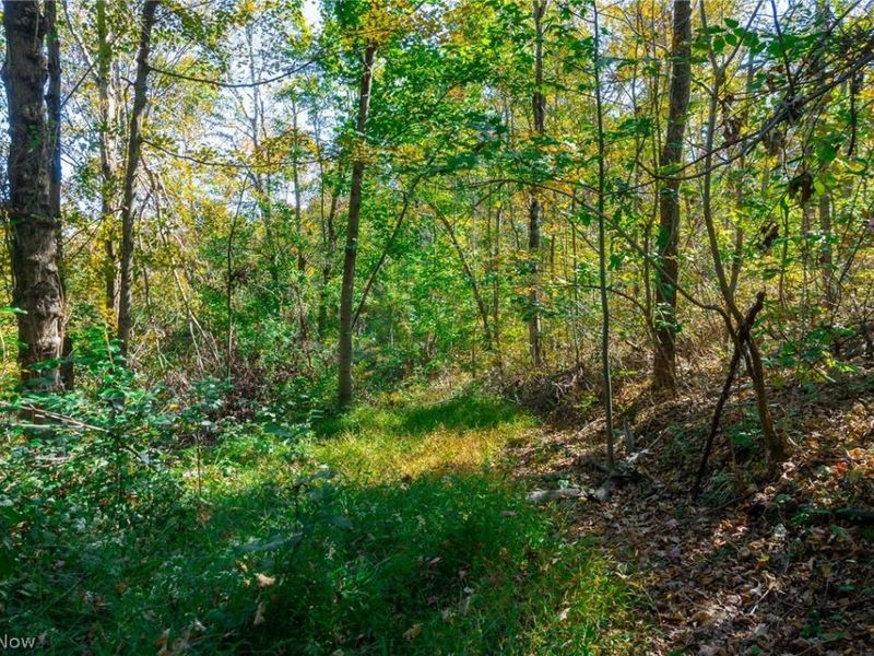County Road 9, New Matamoras, OH 45767 Photo 24