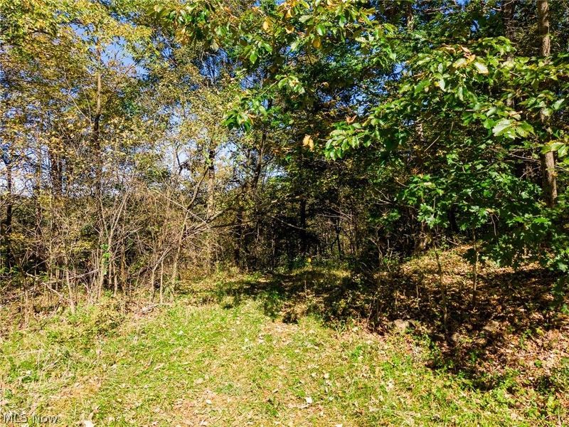 County Road 9, New Matamoras, OH 45767 Photo 30