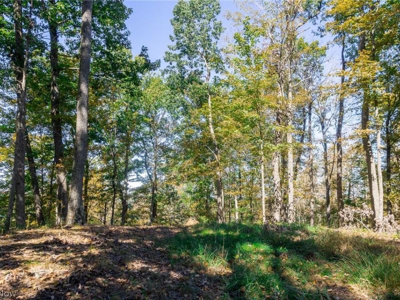 County Road 9, New Matamoras, OH 45767 Photo 5