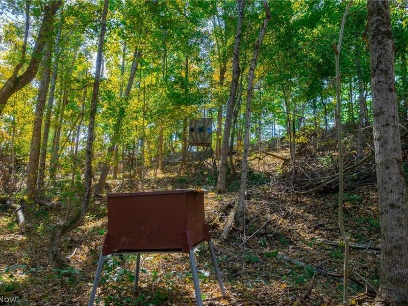 County Road 9, New Matamoras, OH 45767 Photo 6