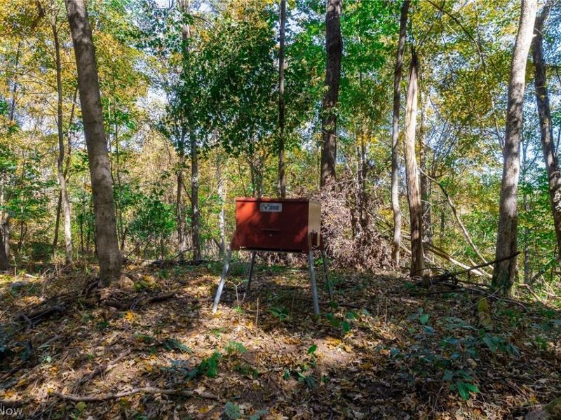 County Road 9, New Matamoras, OH 45767 Photo 8