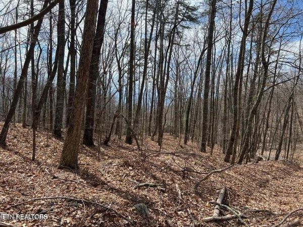 0 Swann Saddle , Unit 12, Sevierville, TN 37876