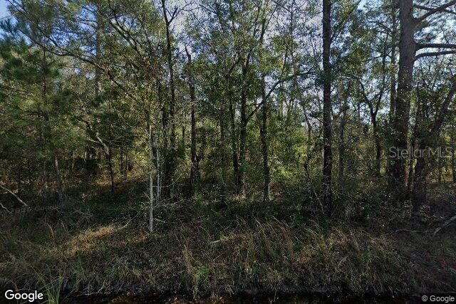 10100 Vaughan Avenue, Hastings, FL 32145 Main Photo