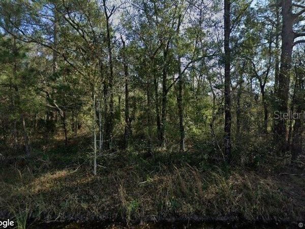 10100 VAUGHAN AVENUE , HASTINGS, FL 32145