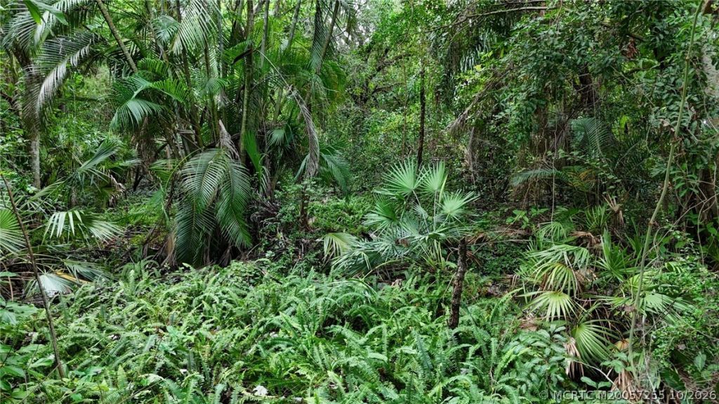 0 NW Egret Court , Stuart, FL 34994 Photo