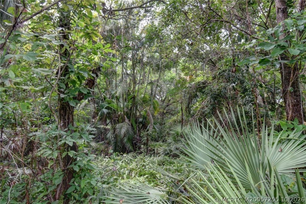 0 NW Egret Court , Stuart, FL 34994 Photo