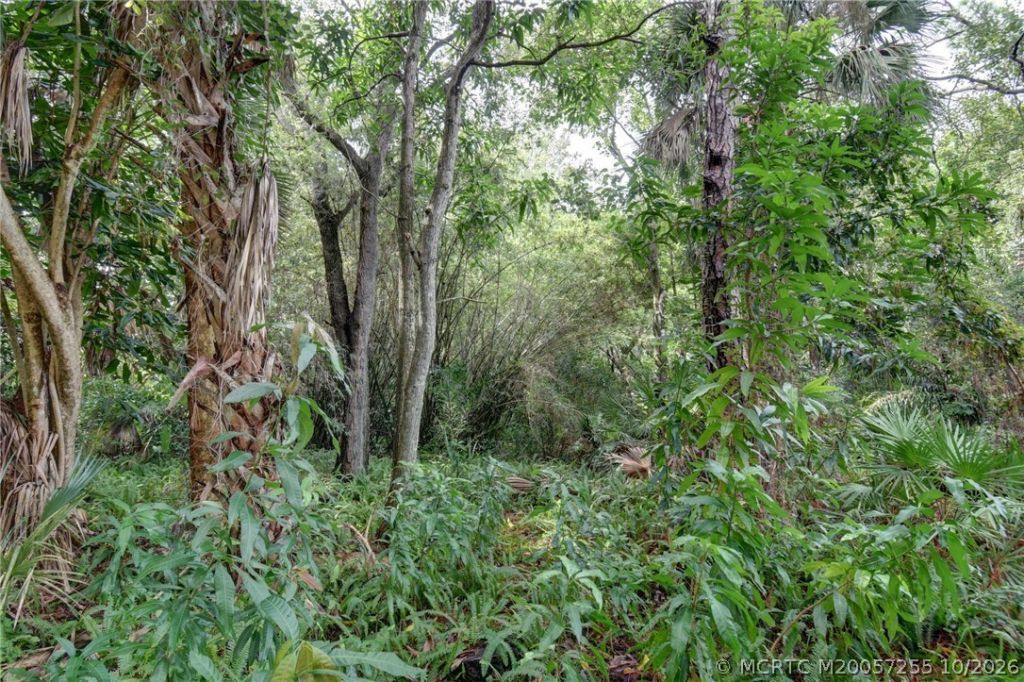 0 NW Egret Court , Stuart, FL 34994 Photo