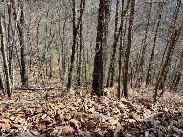 0 Aintree Drive , Unit 26, Sevierville, TN 37876