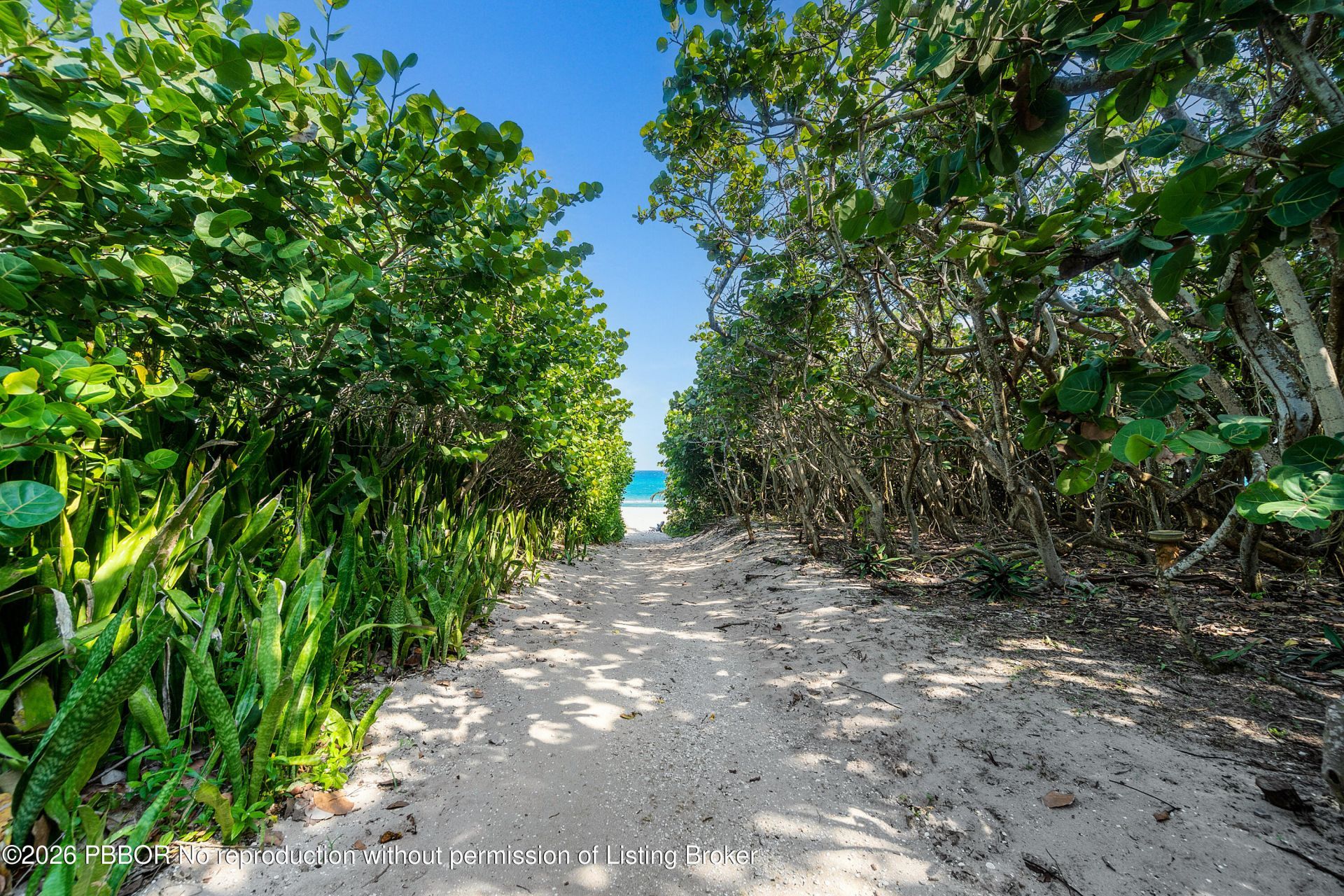 15 East Avenue, Boynton Beach, FL 33435 Photo