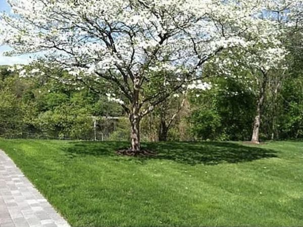 23 Charlesbank Road, Unit A, Newton, MA 02458