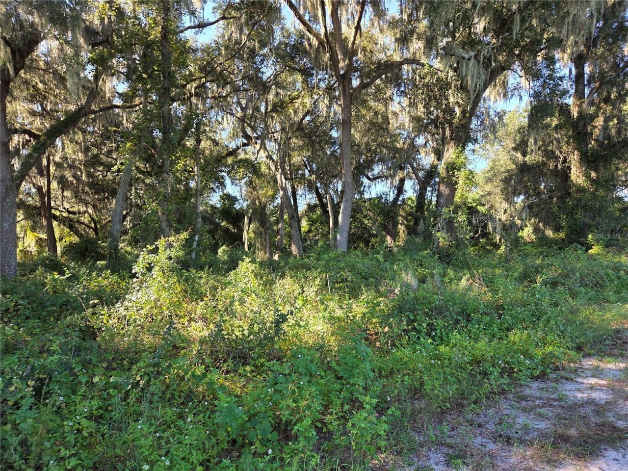 6605 SE 55th Avenue , Center Hill, FL 33514 Photo