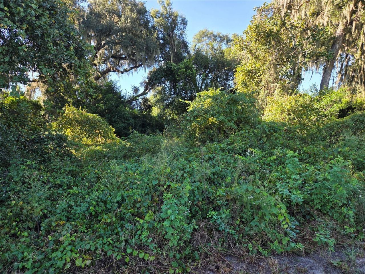 6605 SE 55th Avenue , Center Hill, FL 33514 Photo