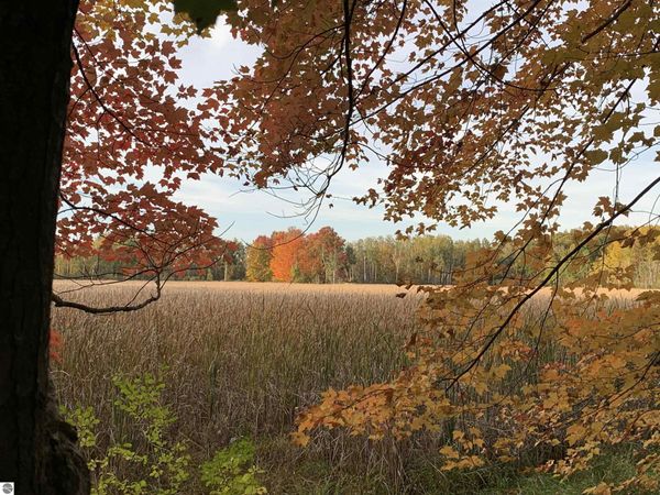Hovey Road W, Lake, MI 48623