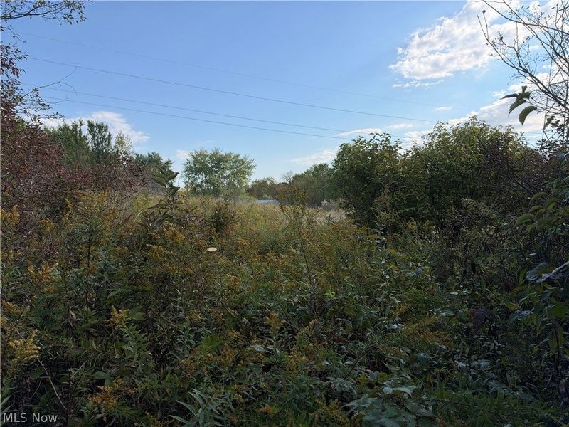 St Route 303, Streetsboro, OH 44241 Photo 35