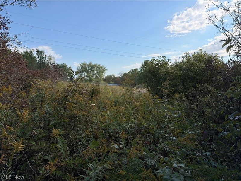 St Route 303, Streetsboro, OH 44241 Photo 38