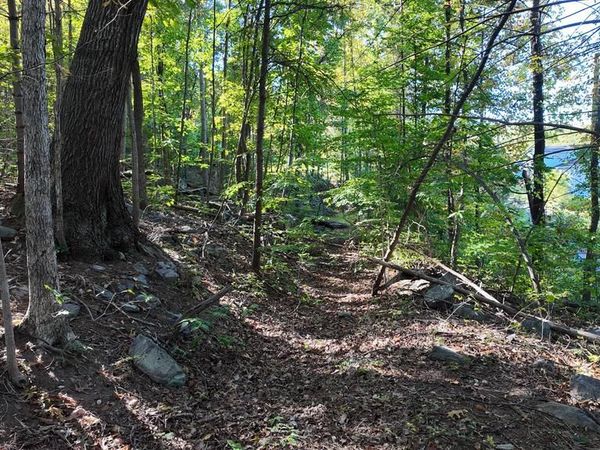 DRUMMER HILL ROAD, FRONT ROYAL, VA 22630