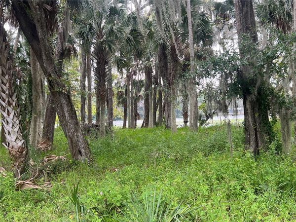 HICKORY ROAD, ASTOR, FL 32102