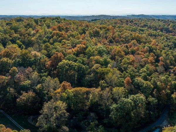 Strong Hollow Lane, Rocky Top, TN 37769