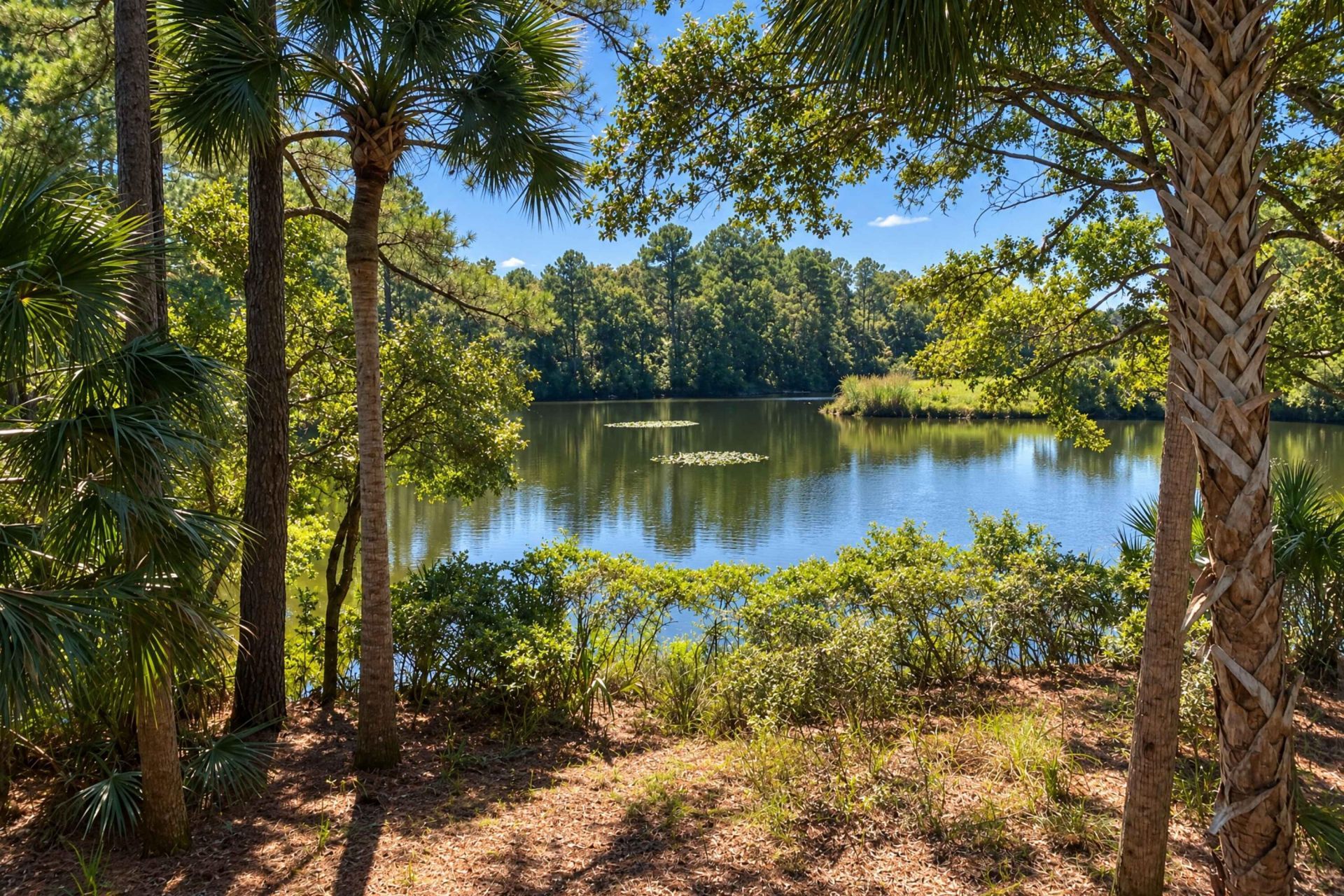 348 Governors Drive Photo 4